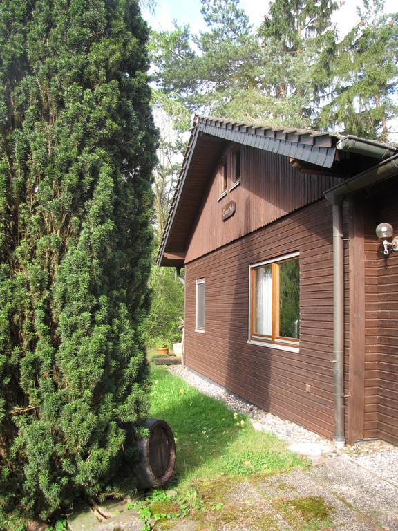 Ferienhaus Edersee Vöhl 外观 照片